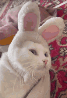 a white cat is wearing a bunny hat on its head