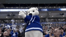 mascot bear clapping