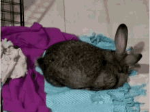 Tired Sleepy GIF - Tired Sleepy Bunny GIFs