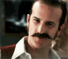 Lets Get It On GIF - Richard Speight Jr GIFs