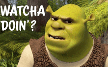 Shrek Whatcha Doin GIF - Shrek Whatcha Doin Whats Up GIFs