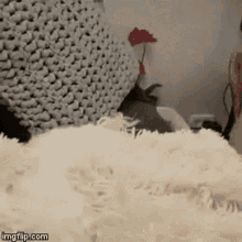 Its Bedtime Dog GIF - Its Bedtime Dog Cute GIFs
