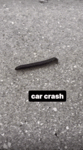 a picture of a millipede on the ground with the words car crash below it