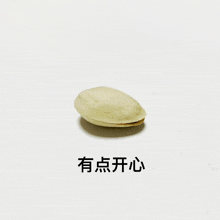 a white background with chinese writing and a nut in the middle