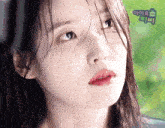 a close up of a woman 's face with a green background that says " 아이유 " on it