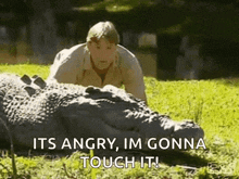 Alligator GIF
