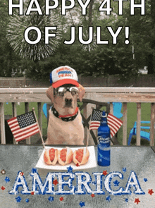 Happy Fourth Of July Fireworks GIF - Happy Fourth Of July Fireworks America GIFs