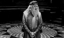 Dumbledore Now What GIF - Dumbledore Now What Hands On Hips GIFs