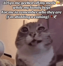 a cat is looking at the camera with a caption that says 105 yo me geeked off my meds while my family begs