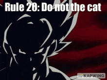 Rule Rule 20 GIF - Rule Rule 20 Dragon Ball GIFs