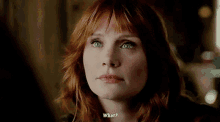Jurassic World Claire Dearing GIF - Jurassic World Claire Dearing What GIFs