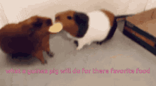 Food Is A Fight For Them GIF