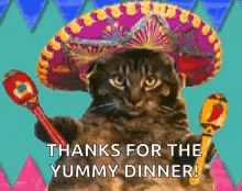 Mexican Sombrero GIF - Mexican Sombrero Cat GIFs