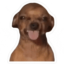 a brown dog with its tongue hanging out is making a funny face .