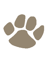 a silhouette of a paw print is shown on a white background
