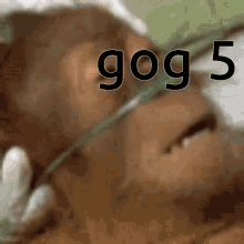 Gog Jahg GIF