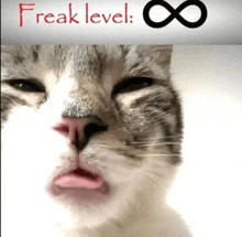 a cat sticking its tongue out in front of a sign that says freak level ∞