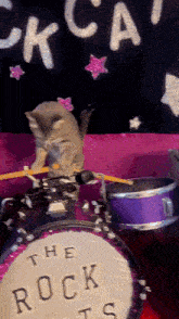 Cat Band GIF - Cat Band Rock GIFs