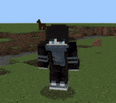 a minecraft character with a scarf around his neck stands in a field with a horse in the background