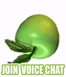 voice chat