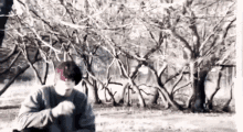 альберткабуу GIF