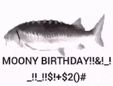 Fish Spin Spin Birthday GIF - Fish Spin Spin Birthday Fish Birthday GIFs