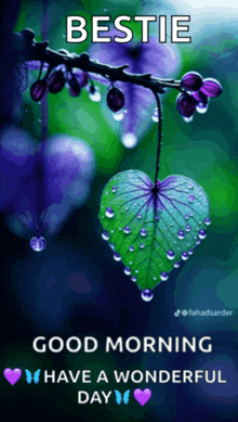 a picture of a heart shaped leaf with water drops on it and the words bestie good morning have a wonderful day