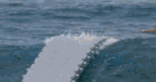 Surfing Catching GIF - Surfing Catching Perfect GIFs
