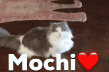 Mochi Love GIF - Mochi Love Heart GIFs