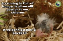 Save Soil Soil GIF - Save Soil Soil Dirt GIFs