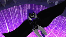 Escudo Raven GIF - Escudo Raven GIFs
