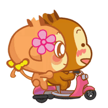 yoyocici yoyo cici monkey couple scooter