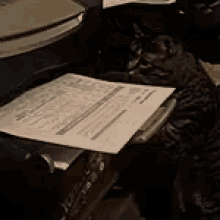 Cat On The Printer GIF - Cat Printer Business Cat GIFs