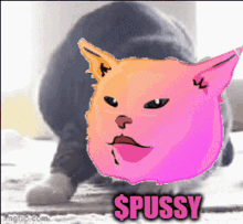 Pussyfinancial Pussy Cat Doge Coin Car Memecoin Altcoin GIF - Pussyfinancial Pussy Cat Doge Coin Car Memecoin Altcoin GIFs