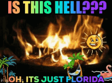 Weather Florida GIF - Weather Florida Hot As Hell GIFs