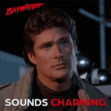 Sounds Charming Sounds Good GIF - Sounds Charming Sounds Good Alright Then GIFs