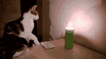 lights out curious cat candle