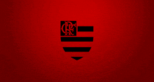 Flamengo Flamengo Fc GIF - Flamengo Flamengo Fc GIFs