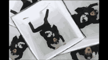 The Kid Laroi Tell Me Why GIF - The Kid Laroi Tell Me Why Box Illusion GIFs