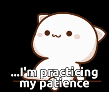 a cartoon cat with the words " i 'm practicing my patience "