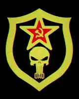 a shield with a punisher skull and a red star