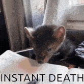 Instant Death GIF - Instant Death Instant Death GIFs