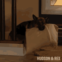 Going To Bed Rex GIF - Going To Bed Rex Diesel Vom Burgimwald GIFs