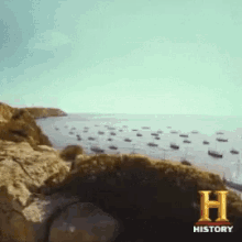 GIF