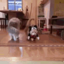 Cat Mickey GIF - Cat Mickey Mouse GIFs