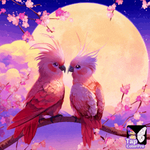 Going Out Love Birds GIF - Going Out Love Birds Ready For Love GIFs