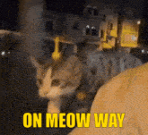 a cat is sitting on a person 's lap with the words " on meow way " below it