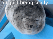 Just Being Silly Seally GIF - Just Being Silly Seally Silly GIFs