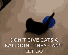 Black Cat Dont Give Cats A Balloon GIF - Black Cat Dont Give Cats A Balloon Cant Let Go GIFs