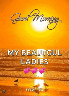 a picture of a beach with the words " good morning my beautiful ladies love ya "